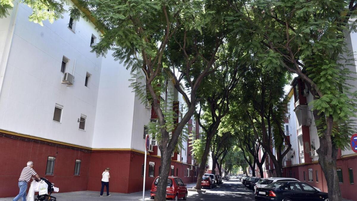 Apartamento Triana Daire Sevilla Dış mekan fotoğraf